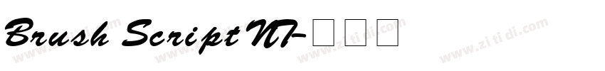 Brush Script NT字体转换